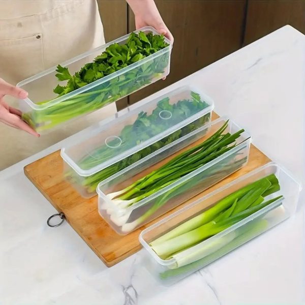 herb1 Refrigerator Crisper Storage Box – Best Stackable & Fresh-Keeping Organizer