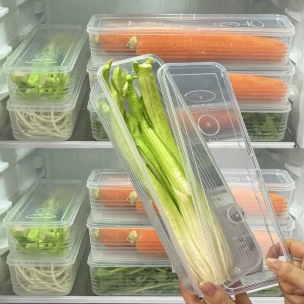 herb2 Refrigerator Crisper Storage Box – Best Stackable & Fresh-Keeping Organizer