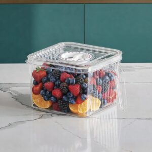 Acrylic Fridge Storage Box Acrylic Fridge Storage Box